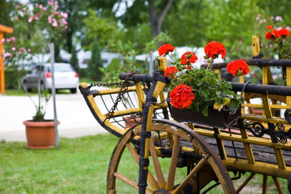 Balaton Eldorado Camping Badacsonytordemic Exterior photo
